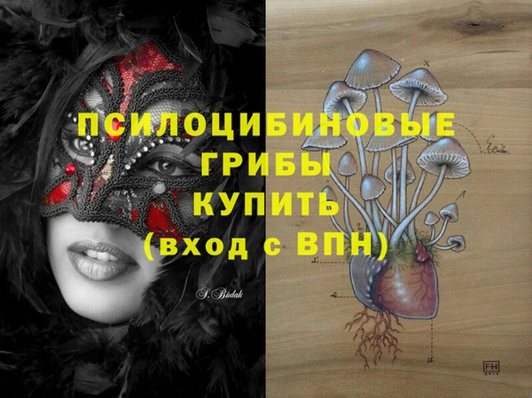 дживик Алексеевка