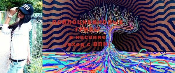 гидропоника Алексин
