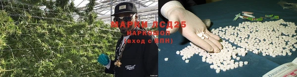 хмурый Абаза